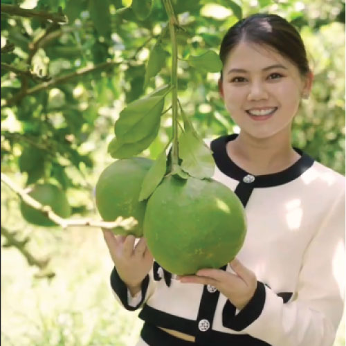 beverage-process (1)