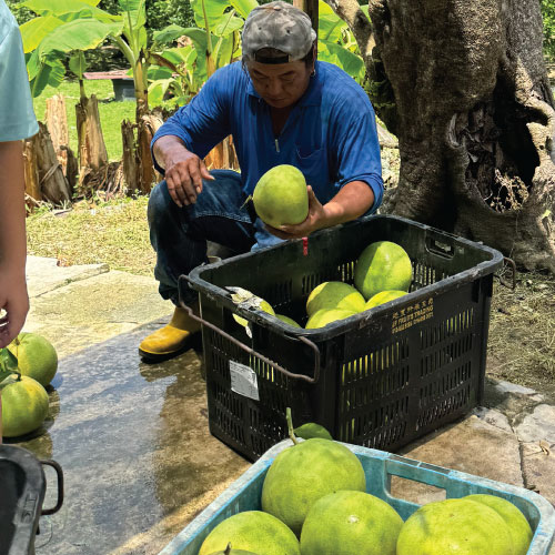 beverage-process (4)