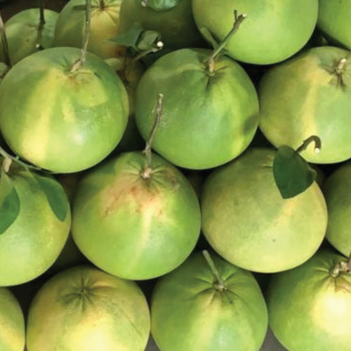 beverage-process (5)